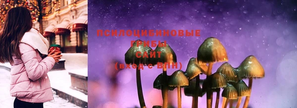 МДПВ Верея