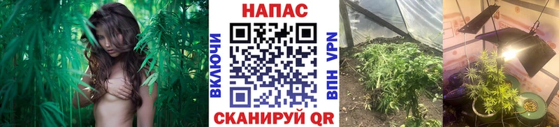 маркетплейс наркотические препараты  OMG ONION  Магнитогорск  Каннабис сатива 